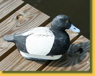 An image of a decoy, two views in one image